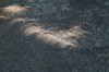 2017-08-21 Eclipse 259